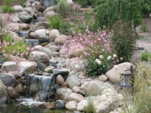 Hillside Water Oasis