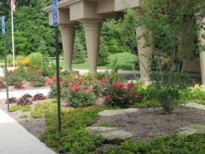 Therapeutic Gardening