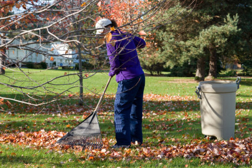 leaf-removal-2